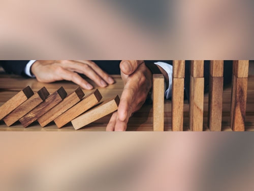 Bağımsız Denetim/Audit